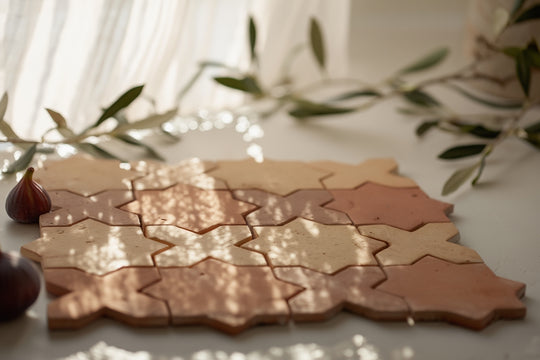 Decorative dark and light terracotta star and crossed mosaic tile with striped pattern on a light surface with greenery in the background